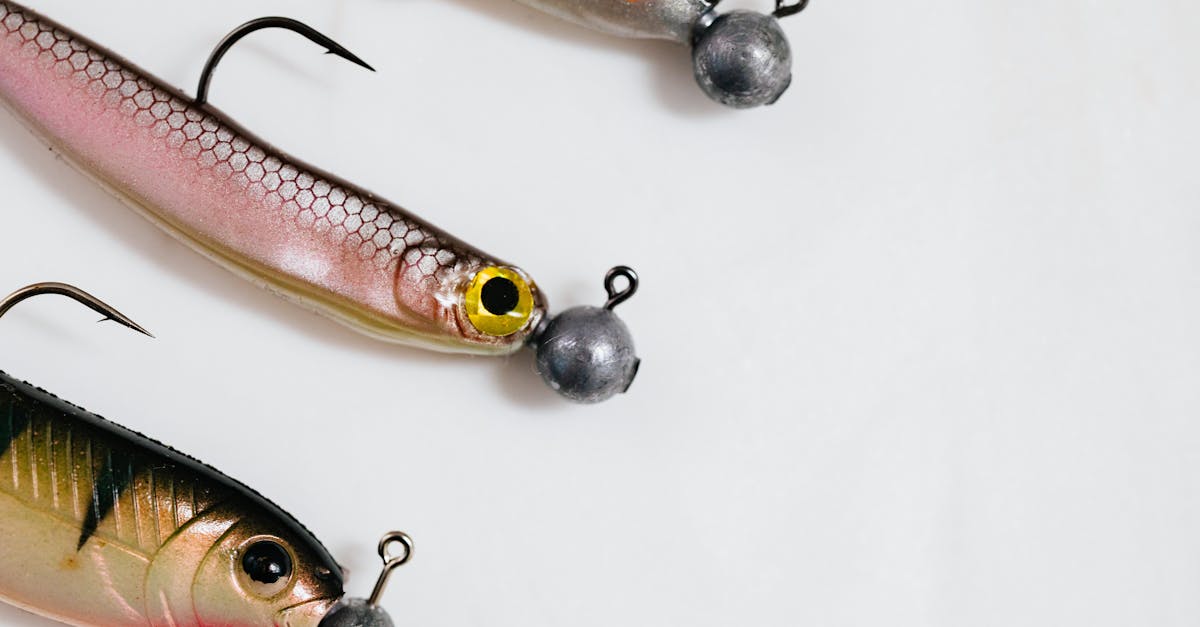 Three vibrant fishing lures with hooks on a clean white surface.